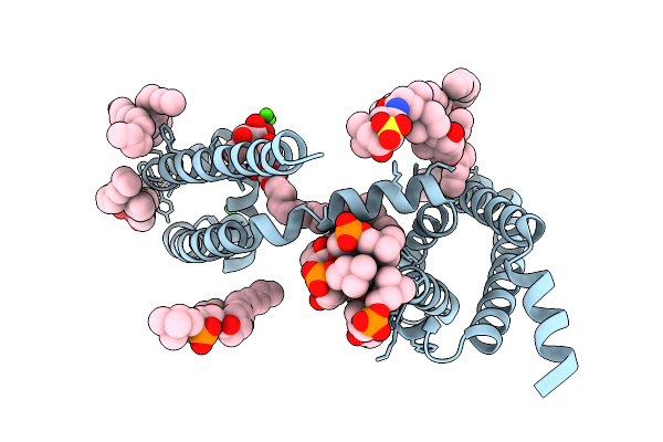 9UC2 image