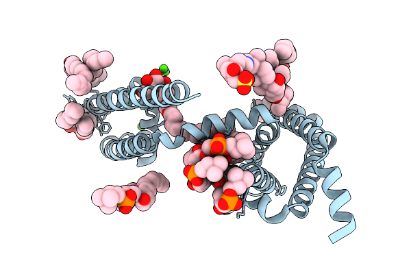 9UC4 image