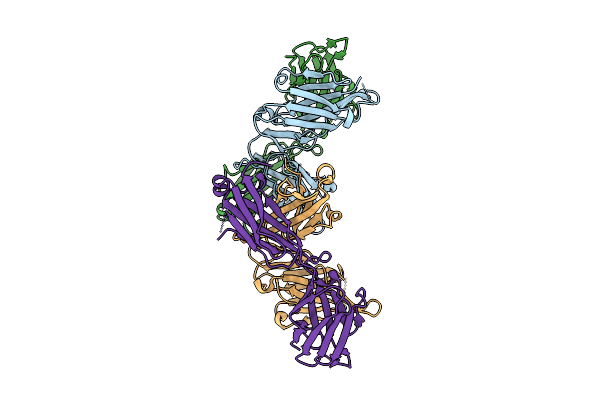 9UCG image