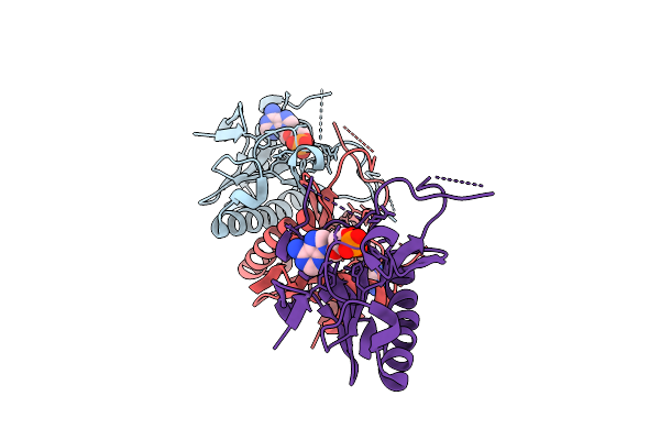 9UCH image