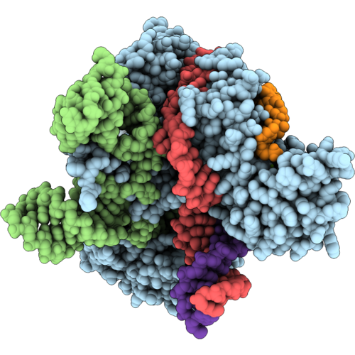 9UCX image
