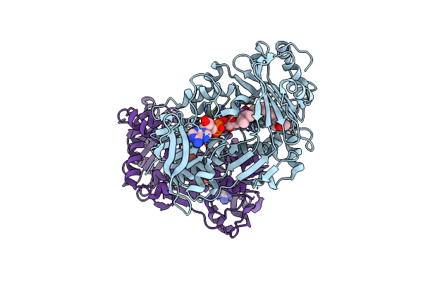 9UDB image