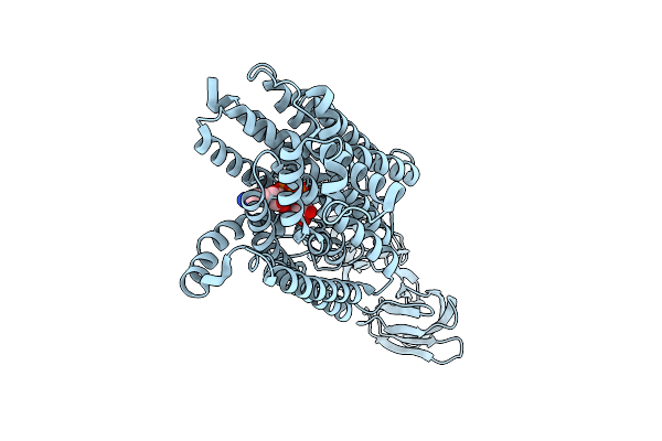 9UDC image