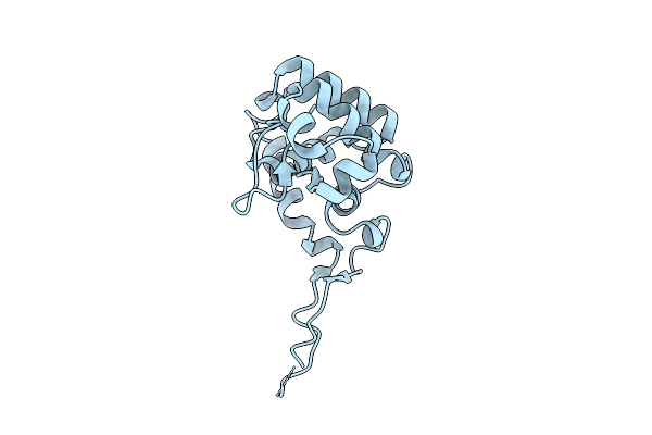 9UDH image