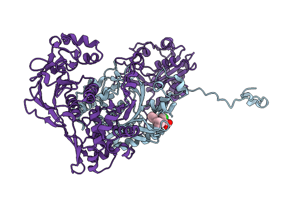 9UDL image