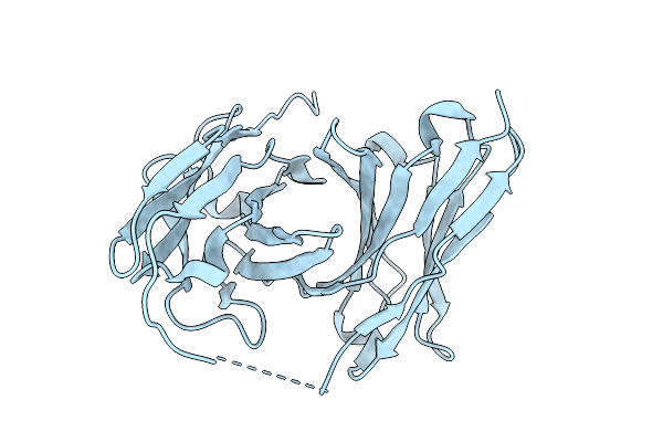 9UDN image
