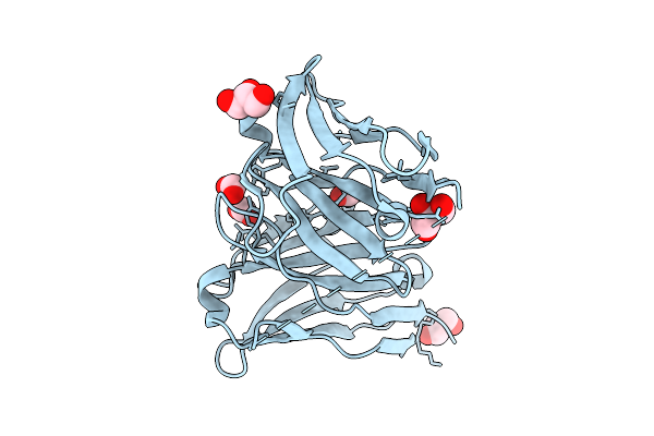 9UDP image