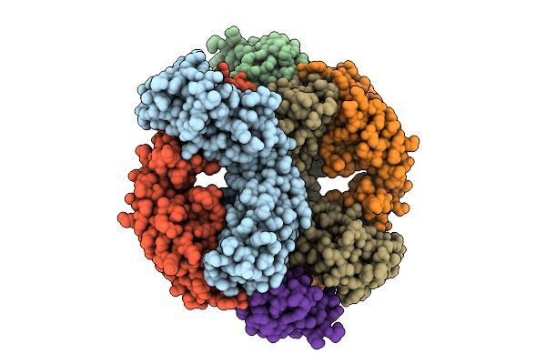 9UDQ image