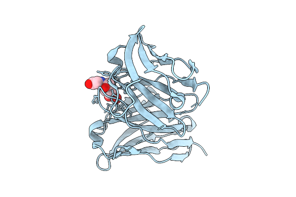 9UDR image