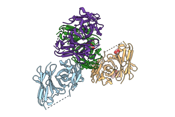 9UDS image