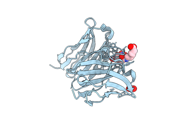 9UDT image