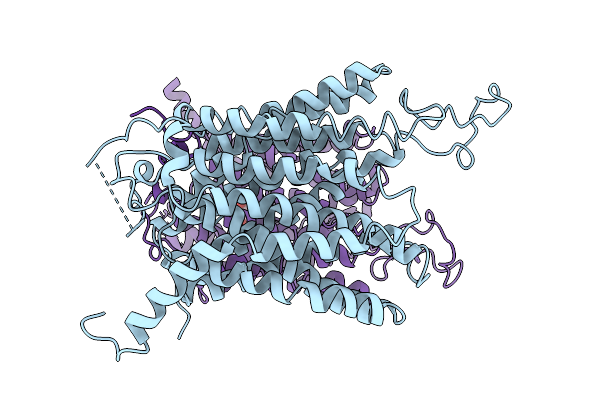 9UDV image