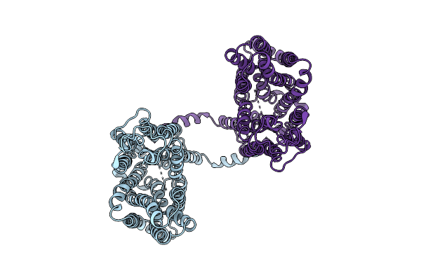 9UDX image