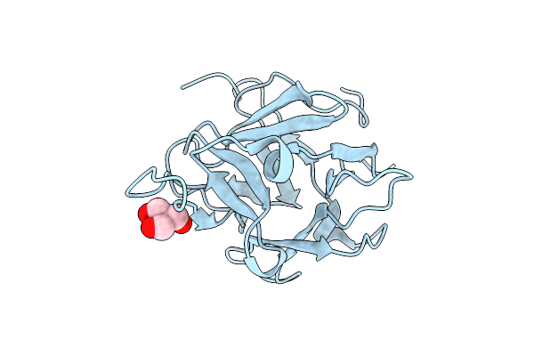 9UDY image