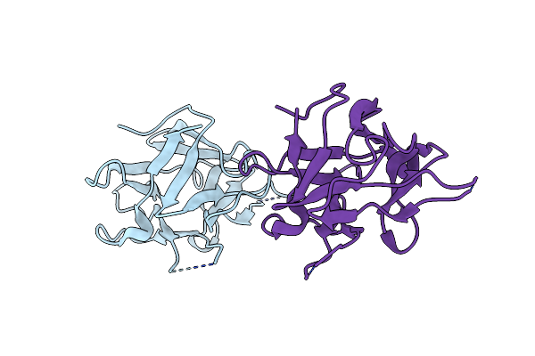 9UDZ image