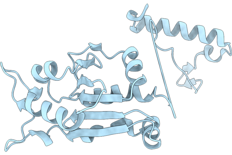 9UE5 image