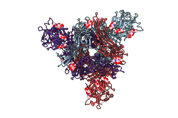 9UEB image