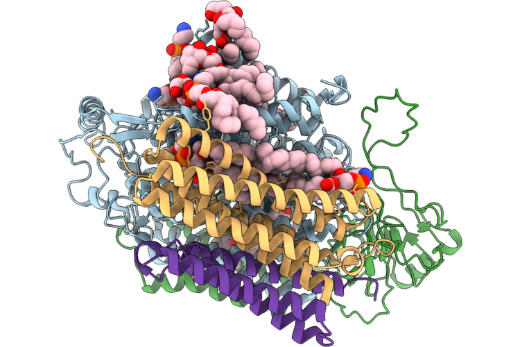 9UFV image