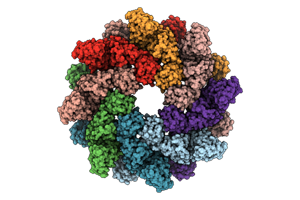 9UGA image