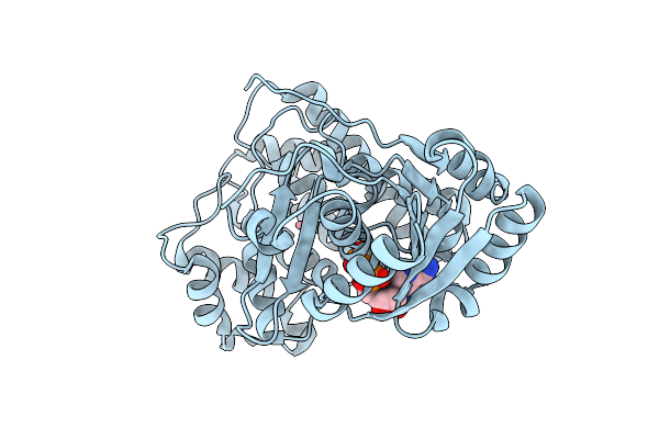 9UGT image