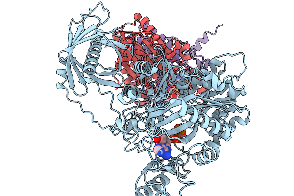 9UHB image