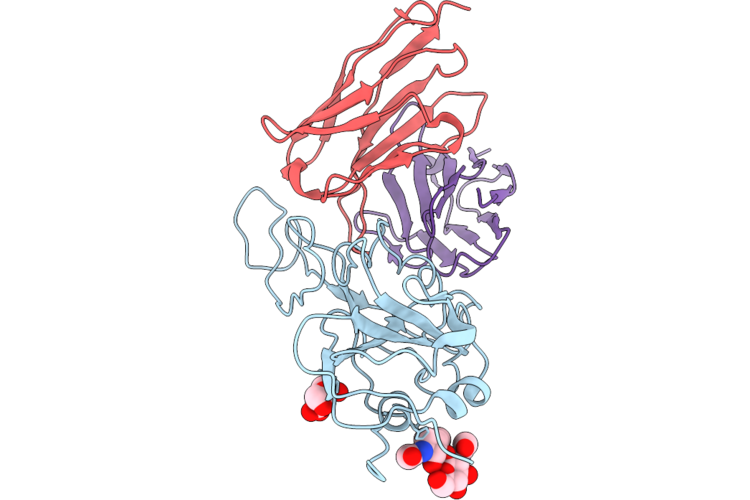 9UHG image