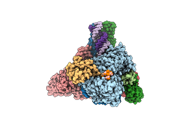 9UHT image