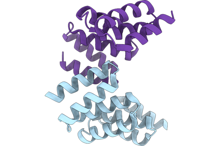 9UIB image