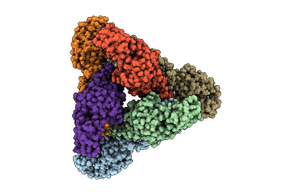 9UIH image
