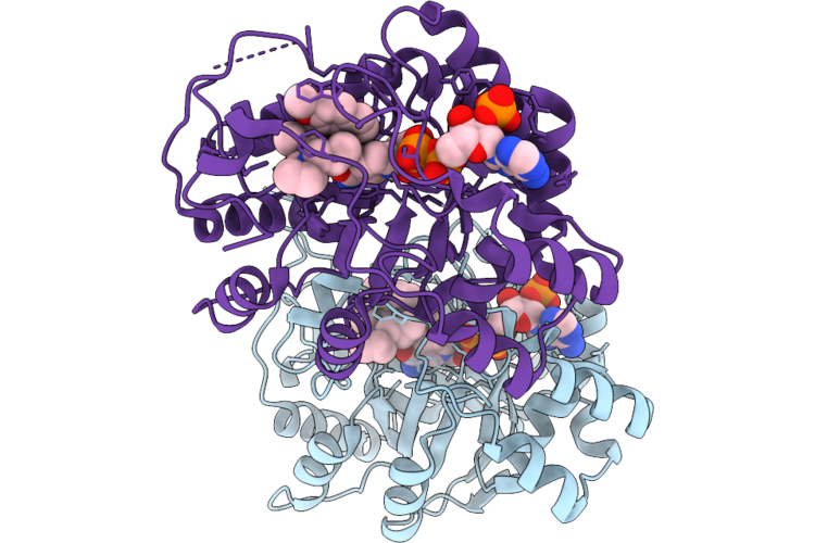 9UJ1 image