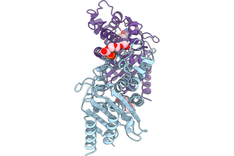 9UJB image