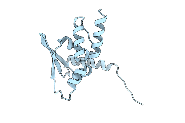 9UJG image