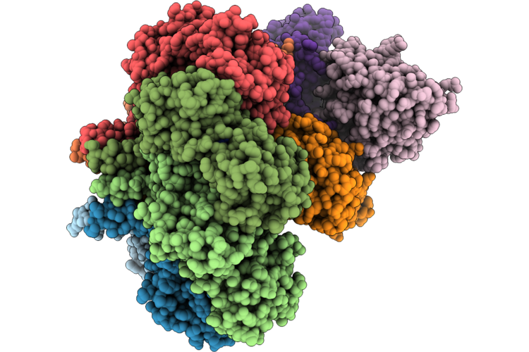 9UKI image