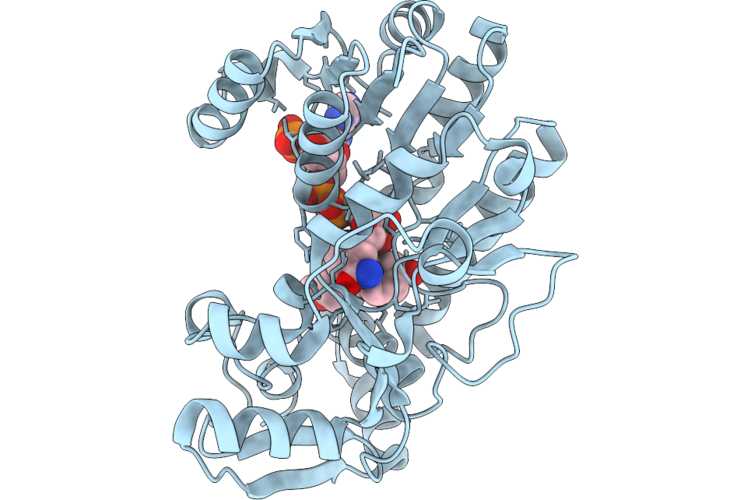 9UM2 image