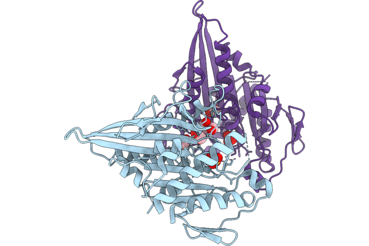 9UMN image
