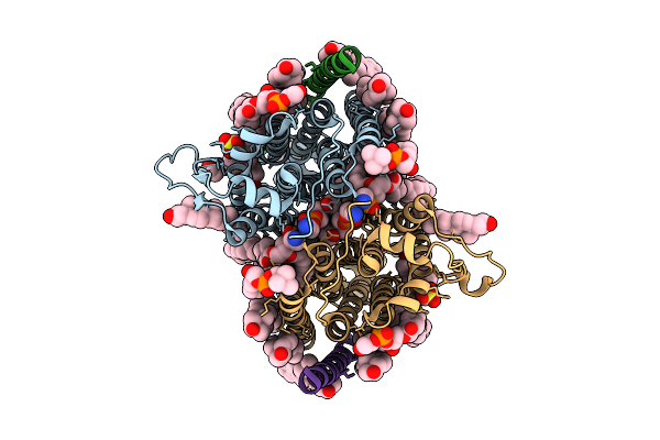 9UNV image