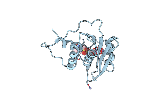 9UOA image
