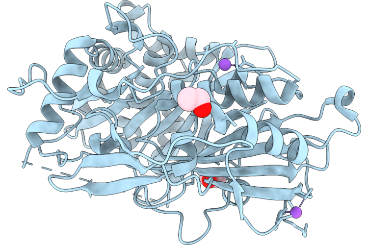 9UOD image