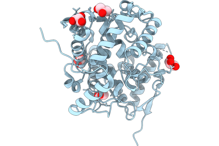 9UOM image