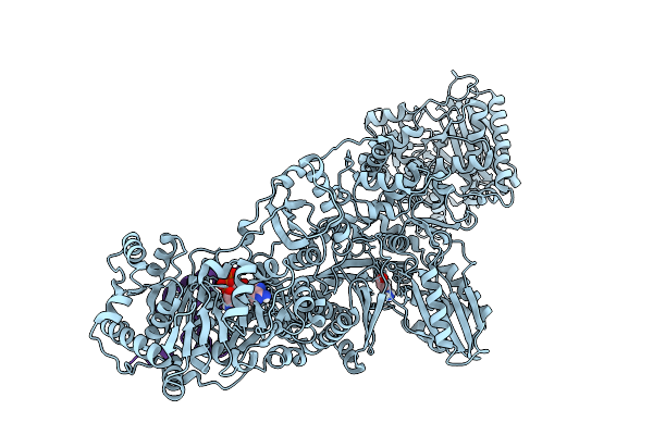 9UP2 image