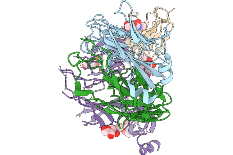 9UPR image