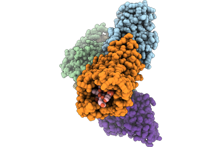 9UPV image
