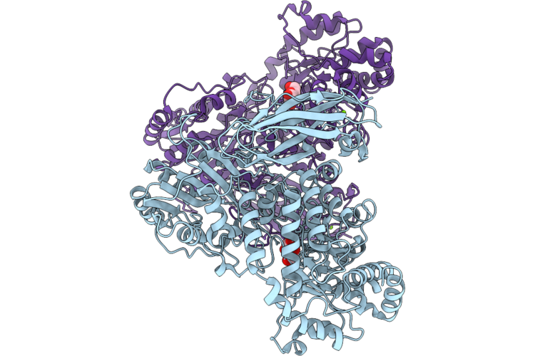 9URG image