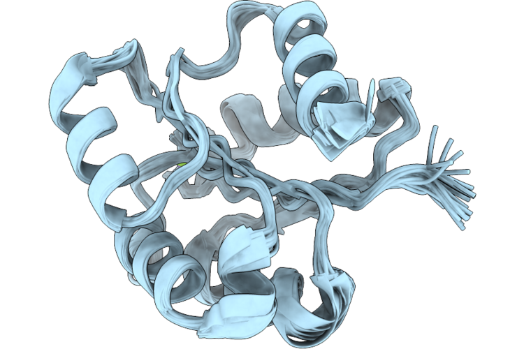 9URO image