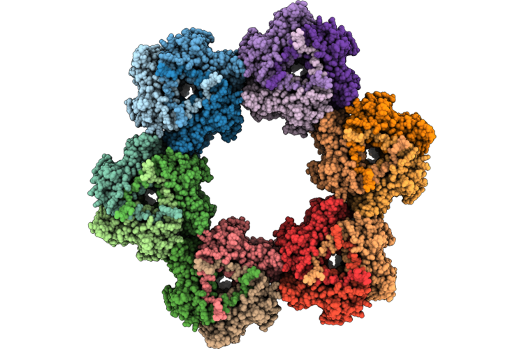 9USX image