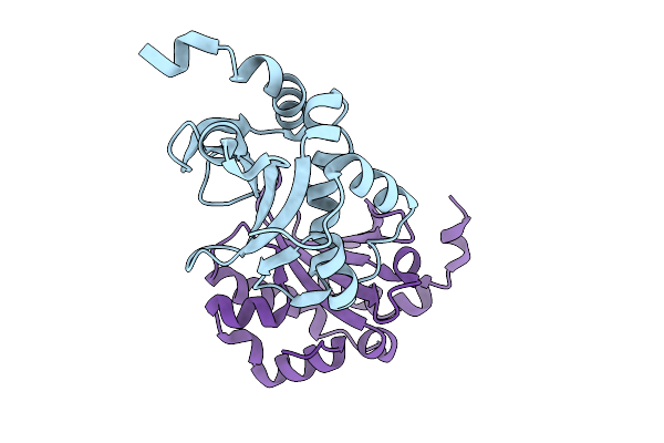 9UTM image