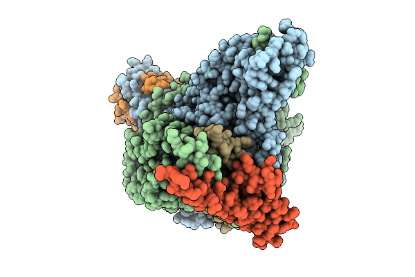 9UUS image
