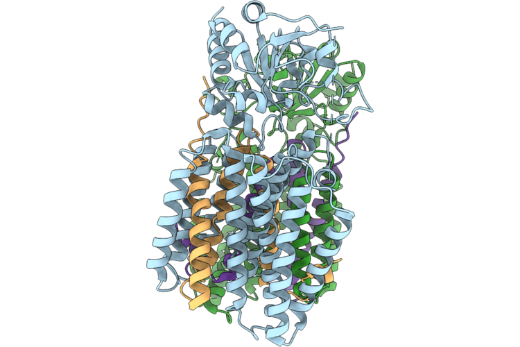 9UV2 image