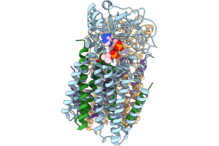 9UV3 image