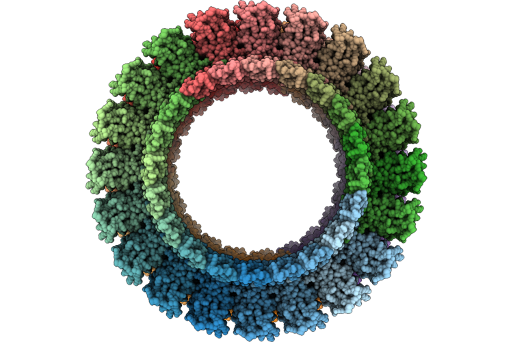 9UV9 image